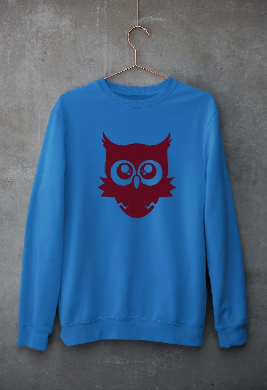 oversized hoodie with drawstringsbold workout sweatshirtCute Baby Owl Unisex Sweatshirt for Men/Women